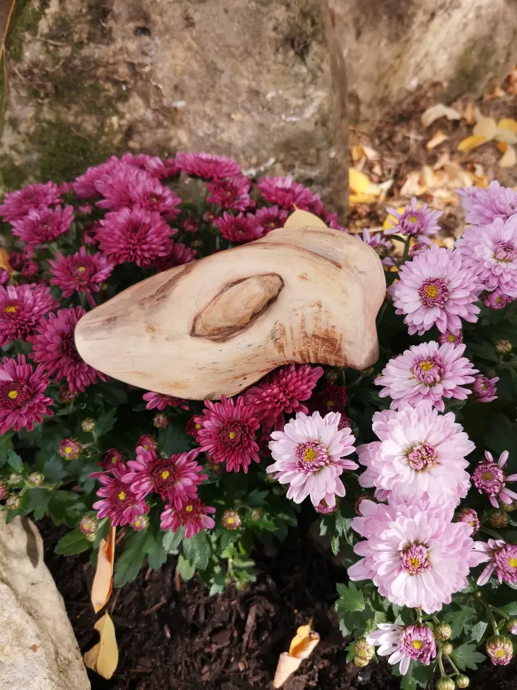 Bois pour méditation